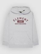 Element Home Team Kids Hættetrøje grå