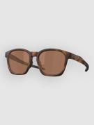 Oakley Shackle Matte Brown Tortoise Solbriller brun