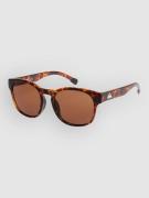 Quiksilver Time Box Shiny Tortoise Solbriller brun