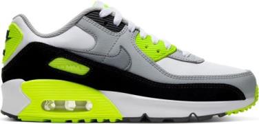 Nike Air Max 90 Ltr Sneakers Unisex Casual Outdoor Hvid 38
