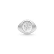 Tree of Life Oval Signet Ring