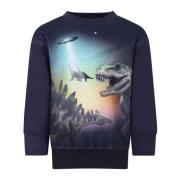 Blå Bomuld Dinosaur Sweatshirt