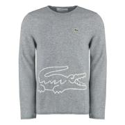 Lacoste Uld Crew-Neck Sweater