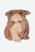 Bulldog Kelso. Statue af bulldog i albiziatræ