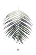 Plakat Palm leaf