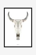 Billede Cow skull