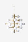 Aneta Lighting - Loftlampe COSMOS - Messing - Loftpendler - - Homeroom