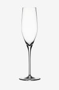 Spiegelau - Champagneglas Authentis 19 cl, 4-pak - Transparent - Vingl...