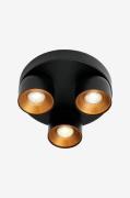 Nordlux - Spotlight Pitcher 3-Rondel - Sort - Spotlights - - Homeroom