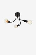 Markslöjd - Loftlampe Medusa Lille - Sort - Plafonder - - Homeroom