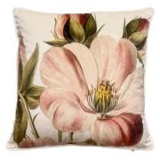 Vanillafly pudebetræk - rose tan - 50x50