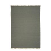 Linie Design Rainbow - 250x350 - Cactus