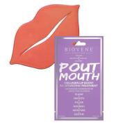 Biovène Pout Mouth Collagen Lip Boost Moisturizing Treatment 3,2