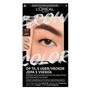 L'Oréal Paris Brow Color Kit Semi-Permanent Eyebrow Color 3.0 Dar