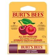 Burt's Bees Lip Balm Wild Cherry Blister 4,25g