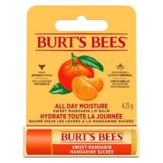 Burts Bees Lip Balm Sweet Mandarin Blister 4,25 g