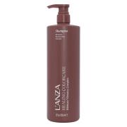 L'ANZA Healing ColorCare Shampoo 950ml
