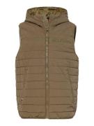 TOMMY HILFIGER Vest  khaki