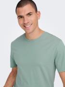 Only & Sons Bluser & t-shirts 'Matt'  pastelgrøn / sort / hvid