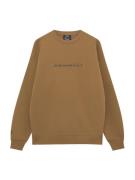 Pull&Bear Sweatshirt  brokade / sort