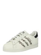 ADIDAS ORIGINALS Sneaker low 'Superstar'  beige / mørkebrun / sort / h...