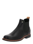 PANAMA JACK Chelsea Boots 'Giordana Igloo'  lysebrun / sort