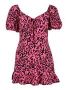 Dorothy Perkins Petite Kjole  pink / sort