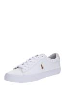 Polo Ralph Lauren Sneaker low 'Sayer'  hvid