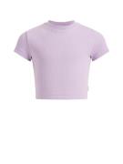WE Fashion Bluser & t-shirts  pastellilla