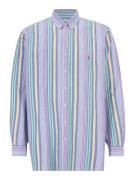 Polo Ralph Lauren Big & Tall Skjorte  blå / gul / grøn / lavendel / hv...