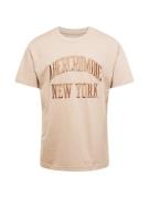 Abercrombie & Fitch Bluser & t-shirts  cappuccino / lysebrun