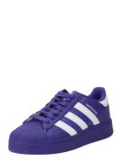 ADIDAS ORIGINALS Sneaker low 'Superstar XLG'  violetblå / hvid