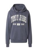 Tommy Jeans Sweatshirt  lysebeige / dueblå