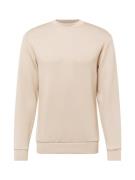 SELECTED HOMME Sweatshirt 'MANUEL'  greige