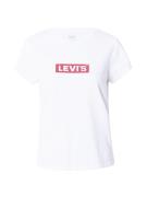 LEVI'S ® Shirts 'Graphic Authentic Tshirt'  rød / hvid