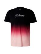 HOLLISTER Bluser & t-shirts  lyserød / hindbær / sort / hvid