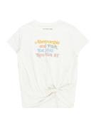 Abercrombie & Fitch Bluser & t-shirts  beige / blandingsfarvet