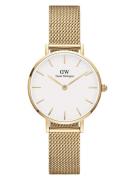 Daniel Wellington Analogt ur 'Petite'  guld / hvid