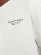 JACK & JONES Bluser & t-shirts 'TROY'  lyseblå / blandingsfarvet / hvi...