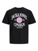 JACK & JONES Bluser & t-shirts 'Lucca'  orkidee / sort / hvid