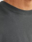 R.D.D. ROYAL DENIM DIVISION Bluser & t-shirts 'Dan'  mørkegrå / rød / ...