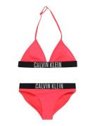 Calvin Klein Swimwear Bikini  grå / pink / sort
