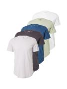 HOLLISTER Bluser & t-shirts  natblå / pastelgrøn / pastelpink / sort /...