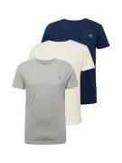 AÉROPOSTALE Bluser & t-shirts  beige / navy / grå