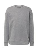 R.D.D. ROYAL DENIM DIVISION Sweatshirt 'Andy'  grå-meleret / sort / hv...