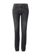 REPLAY Jeans 'ANBASS'  mørkegrå