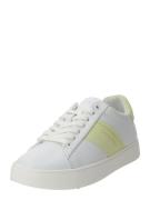 Calvin Klein Sneaker low  pastelgul / hvid