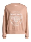 AÉROPOSTALE Sweatshirt  lysebrun / hvid