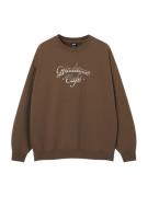 Pull&Bear Sweatshirt  brun / hvid