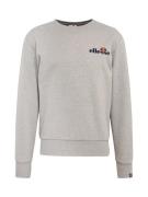 ELLESSE Sweatshirt 'Fierro'  navy / grå-meleret / orange / rød